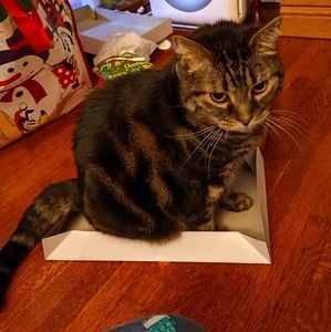 Meet your Posher, Kyla